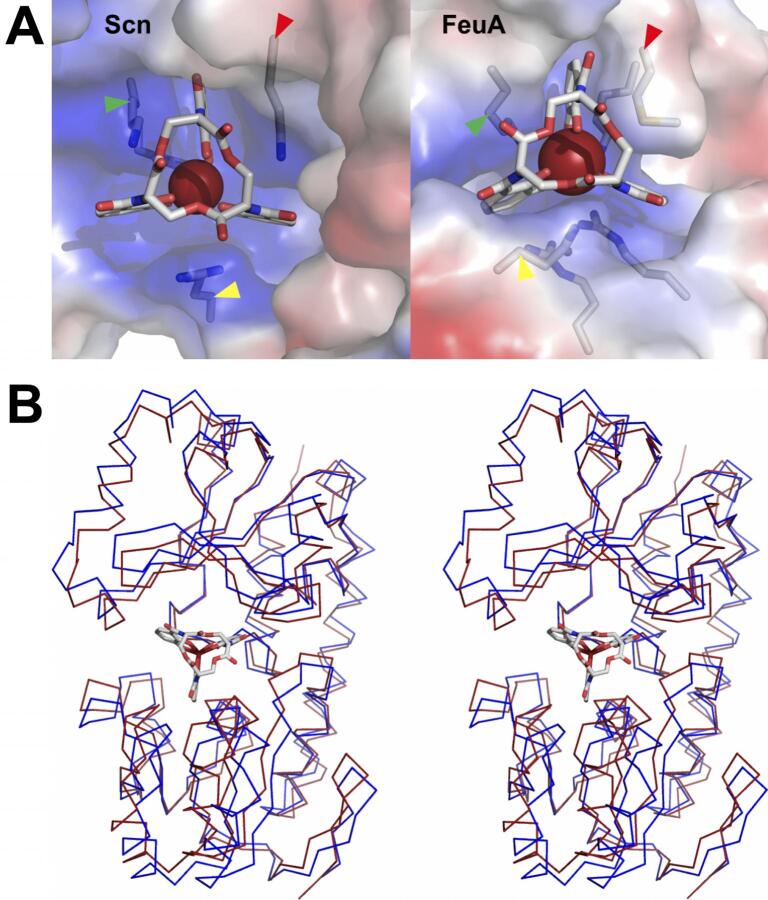 Fig. 9