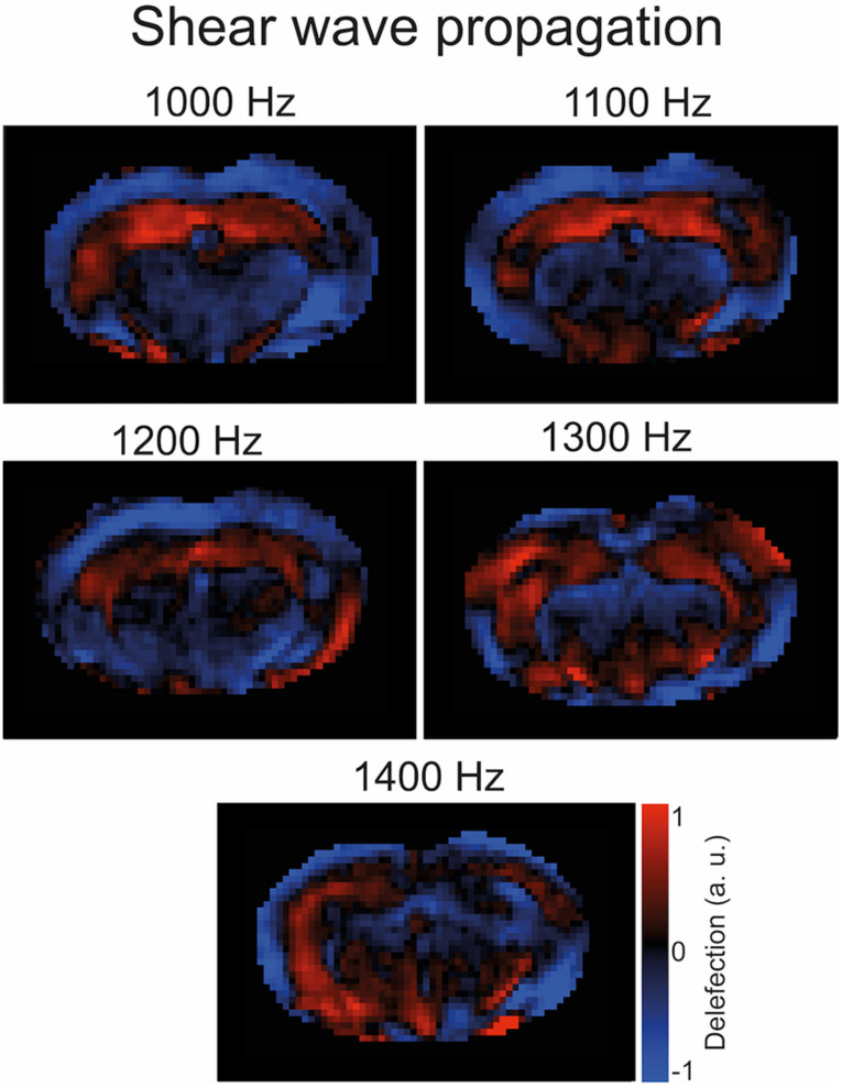 FIGURE 2