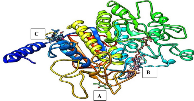 Fig. 1