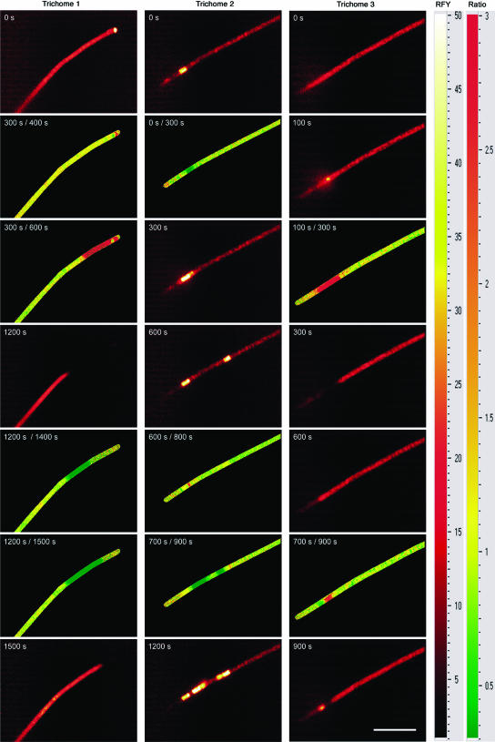 Figure 4.