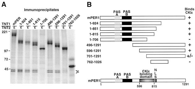 FIG. 6