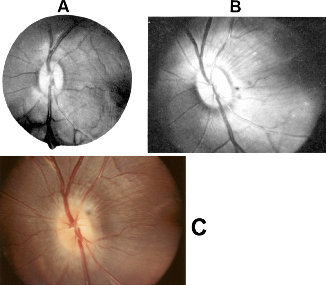 Fig. 8