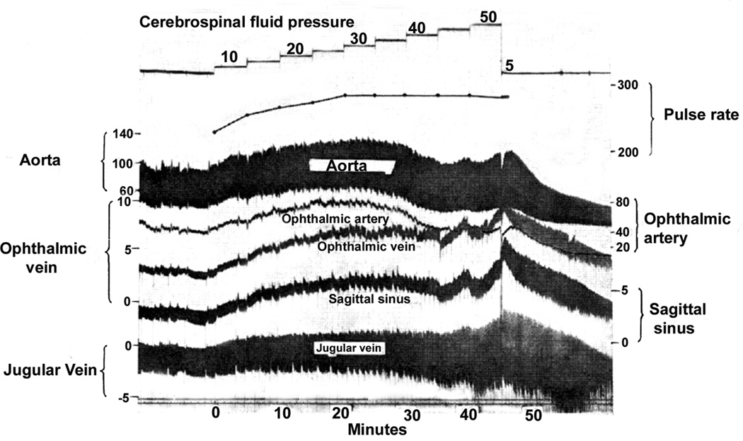 Fig. 10