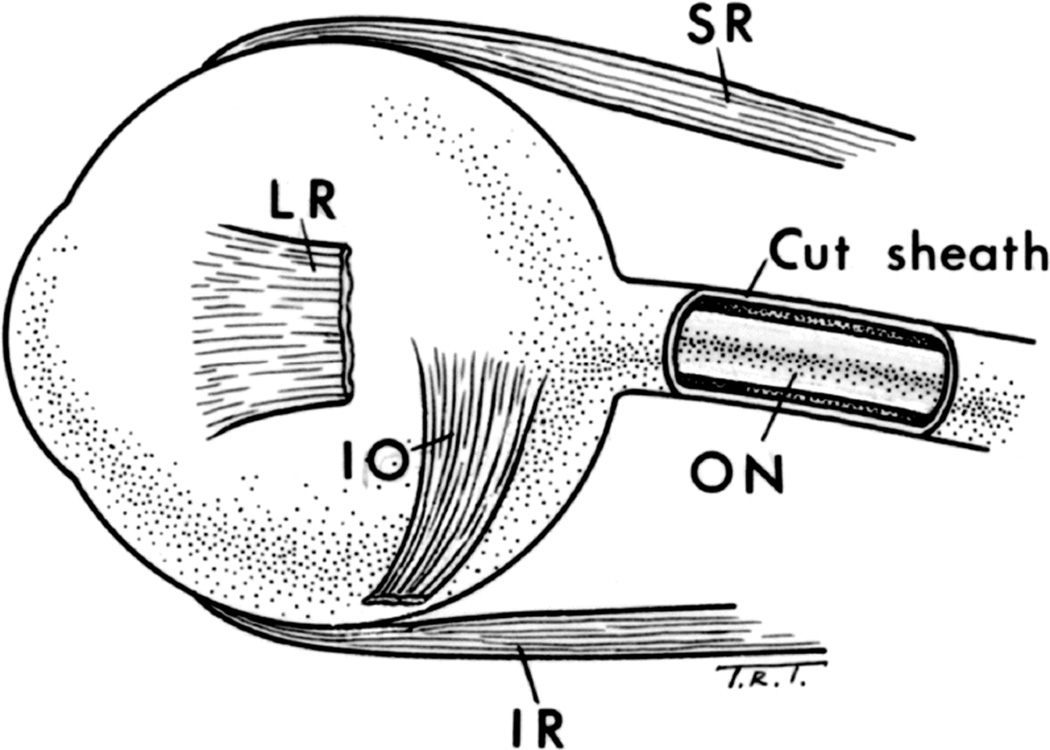 Fig. 32