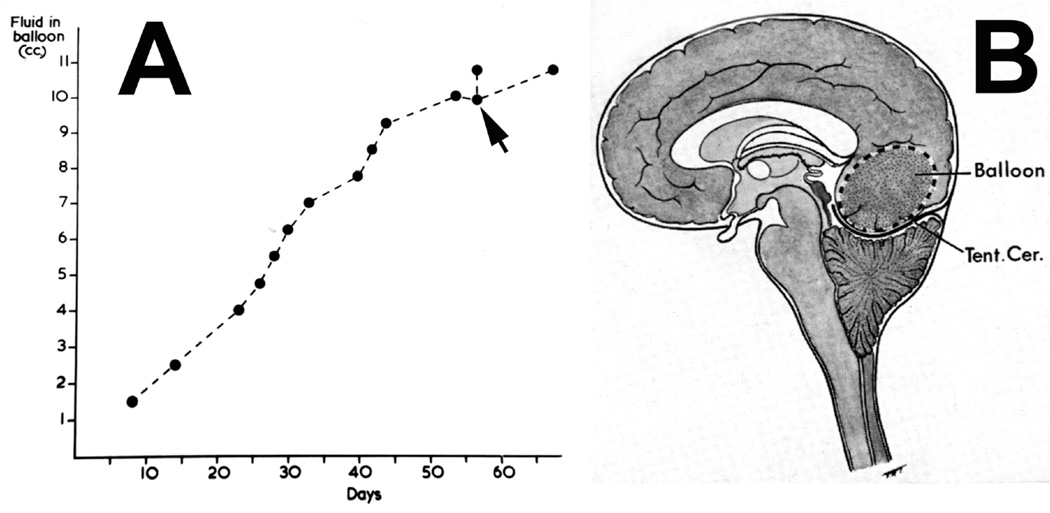 Fig. 20