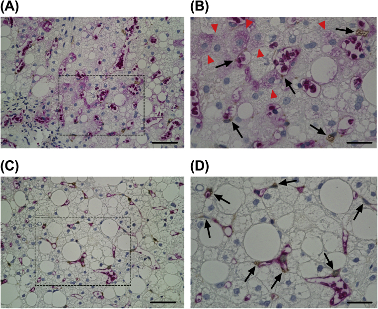 Fig. 4