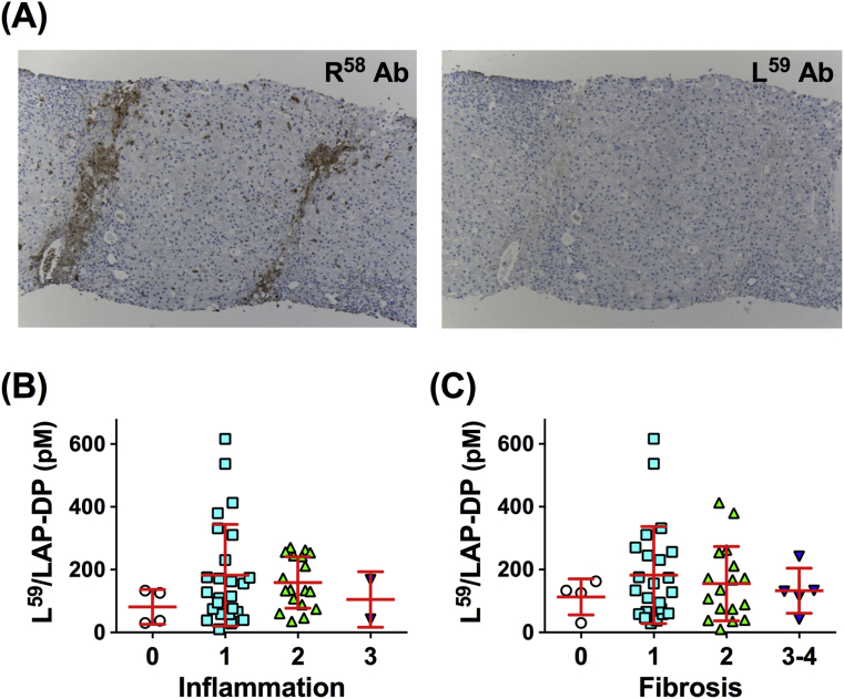 Fig. 7