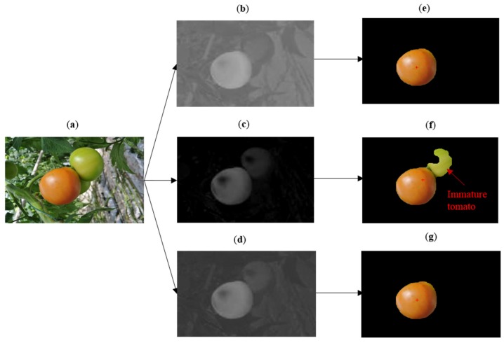 Figure 7