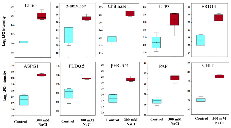 Figure 6