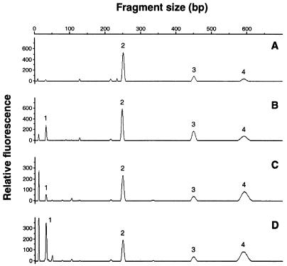 FIG. 4