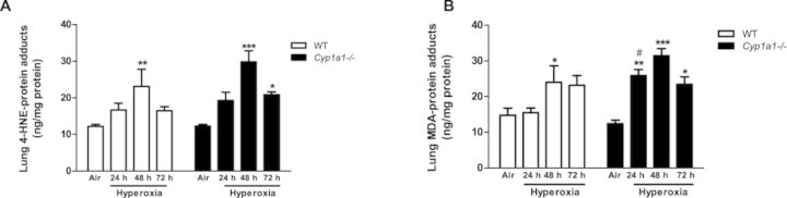 FIG. 9.