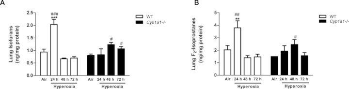 FIG. 10.