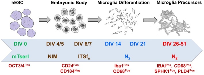 Figure 9