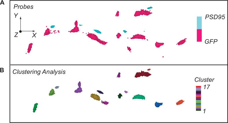 Figure 1—figure supplement 2.