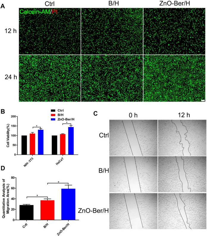 FIGURE 2