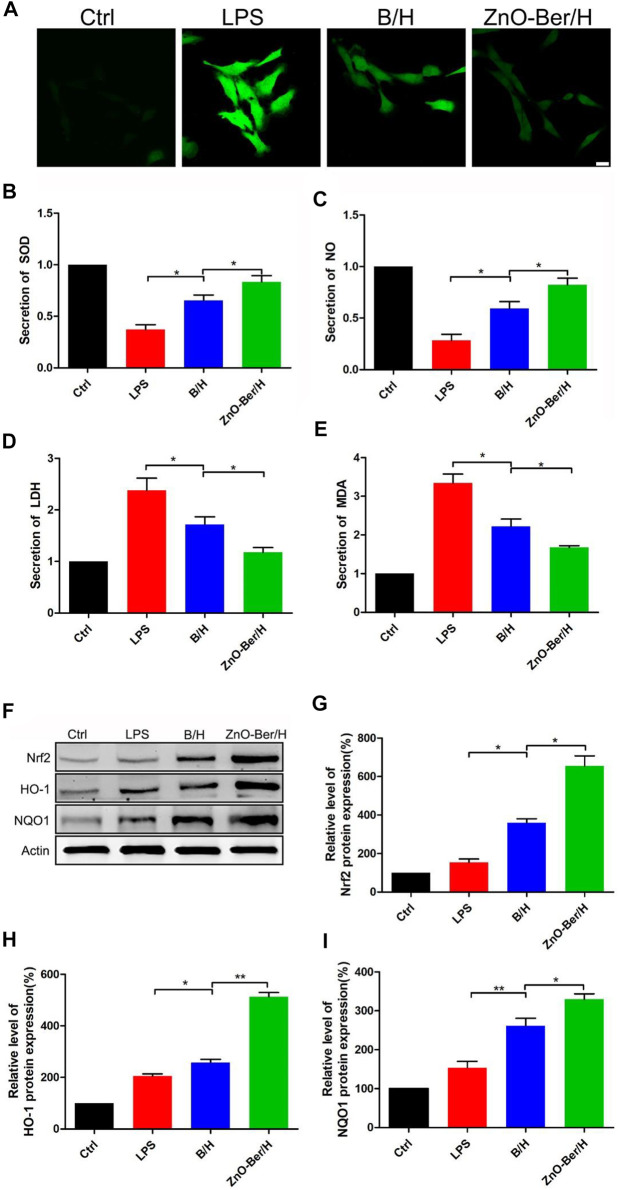 FIGURE 4