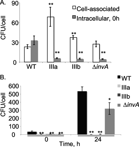 FIG. 3.