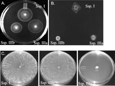 FIG. 5.