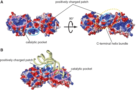 Figure 7.