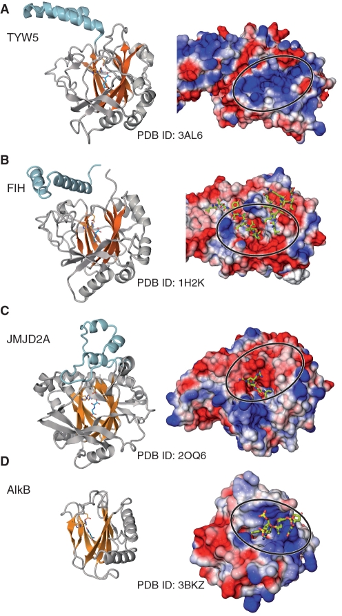 Figure 6.