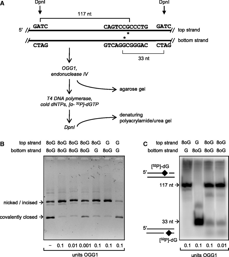 Figure 7.