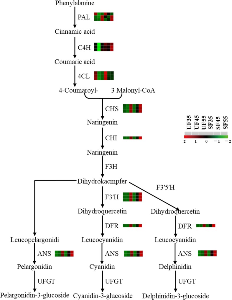 Fig. 12