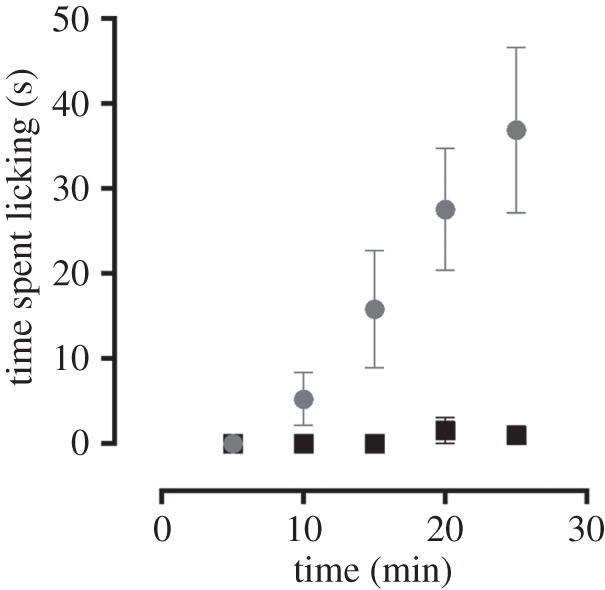 Figure 5.