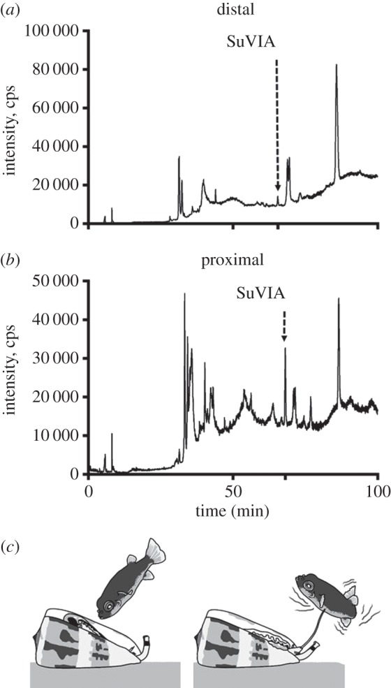 Figure 4.