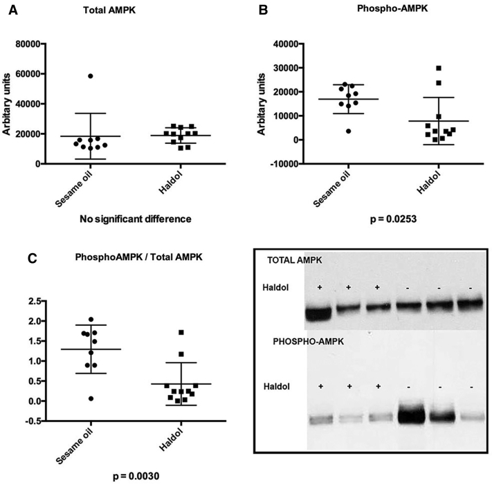 Fig. 3