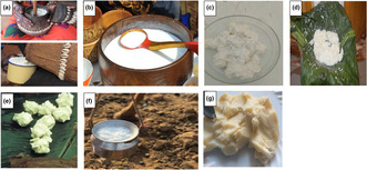 graphic file with name FSN3-12-6990-g004.jpg