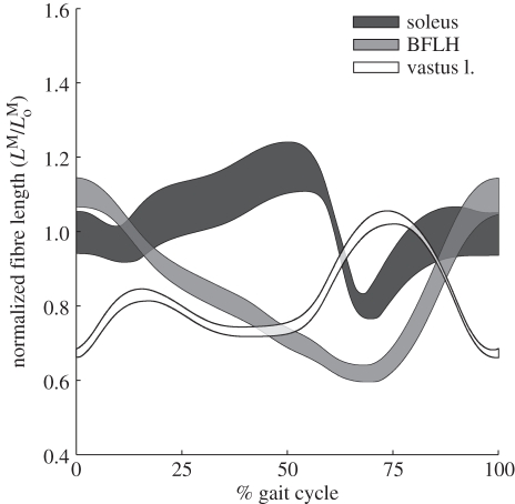 Figure 4.