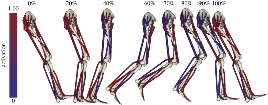 Figure 1.