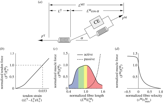 Figure 2.