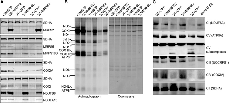 Figure 6