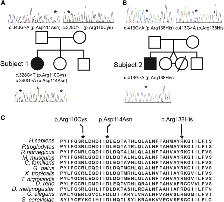 Figure 2