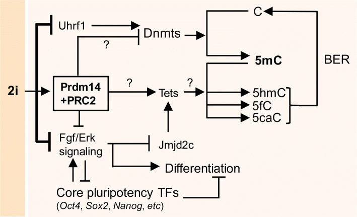 Fig. 4