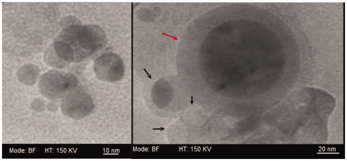 Figure 3.