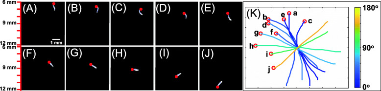 Fig. 2