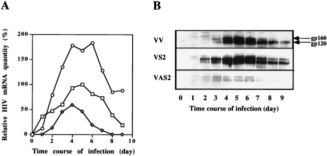 FIG. 6