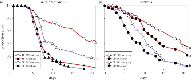 Figure 1.