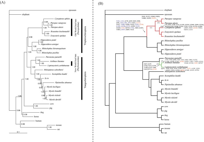 Fig 1