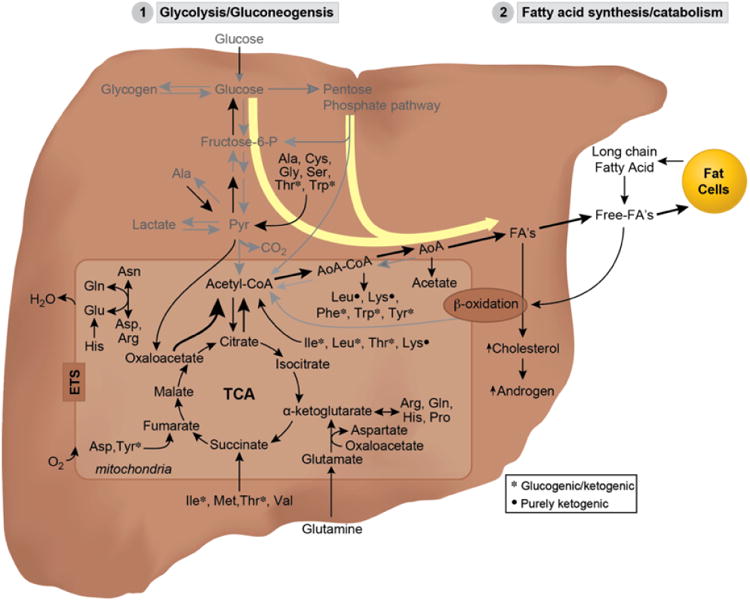 Fig. (4)