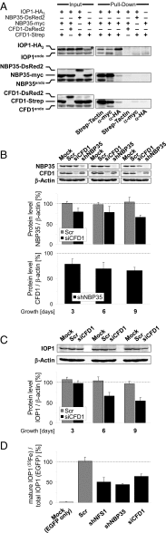 Fig. 4.