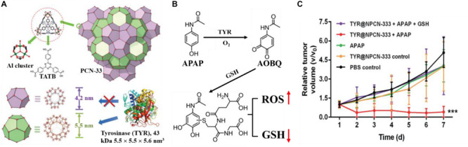 FIGURE 11