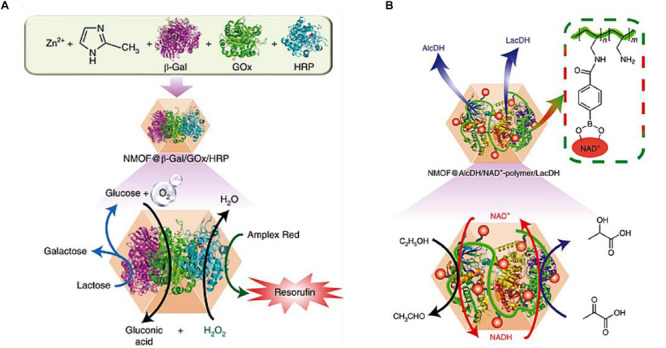 FIGURE 10