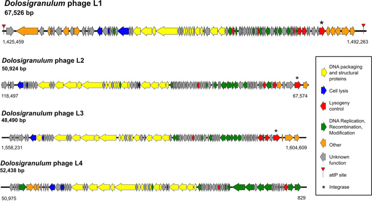 FIG 5