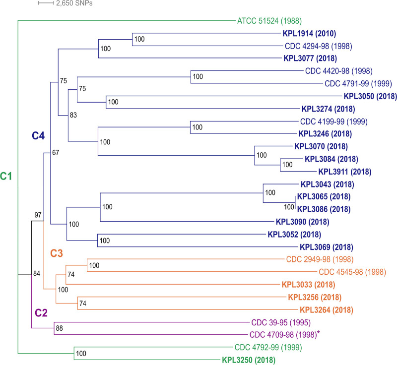 FIG 1