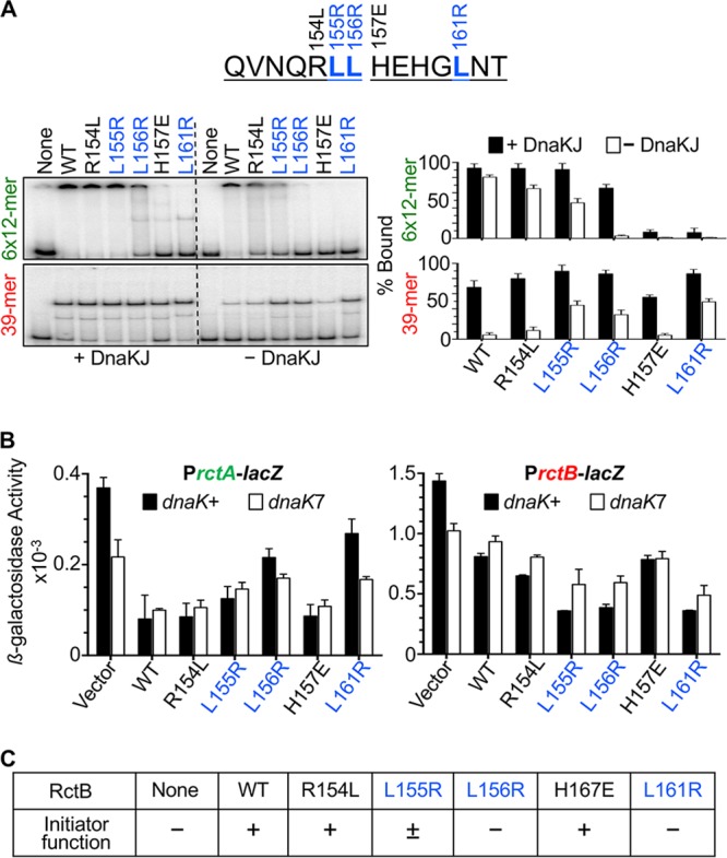 FIG 3 