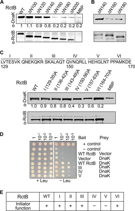 FIG 1 