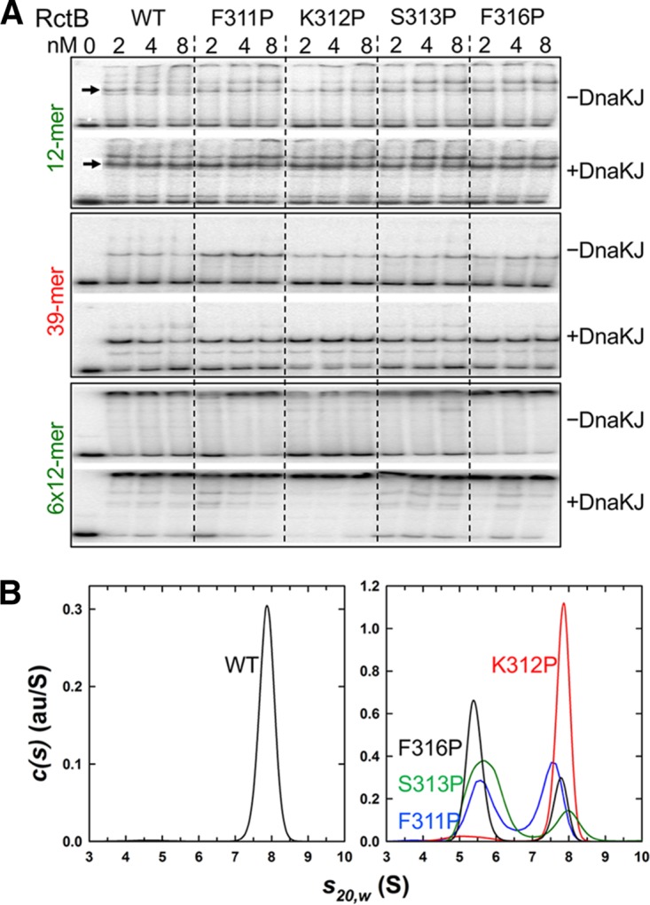 FIG 7 